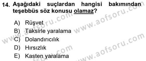 Ceza Hukuku Bilgisi Dersi 2024 - 2025 Yılı Yaz Okulu Sınav Soruları 14. Soru