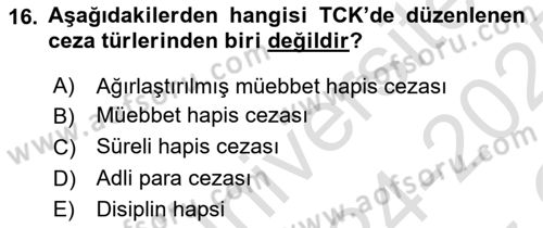 Ceza Hukuku Bilgisi Dersi 2024 - 2025 Yılı Yaz Okulu Sınav Soruları 16. Soru