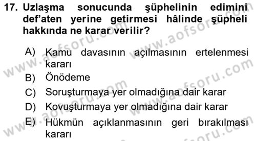 Ceza Hukuku Bilgisi Dersi 2024 - 2025 Yılı Yaz Okulu Sınav Soruları 17. Soru