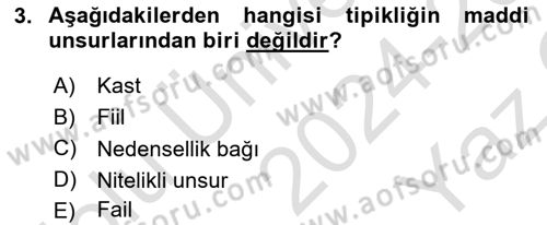 Ceza Hukuku Bilgisi Dersi 2024 - 2025 Yılı Yaz Okulu Sınav Soruları 3. Soru
