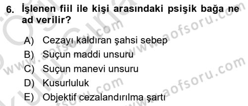 Ceza Hukuku Bilgisi Dersi 2024 - 2025 Yılı Yaz Okulu Sınav Soruları 6. Soru