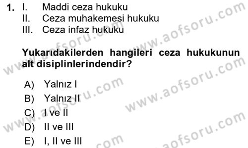 Ceza Hukuku Bilgisi Dersi 2025 - 2026 Yılı (Final) Dönem Sonu Sınav Soruları 1. Soru