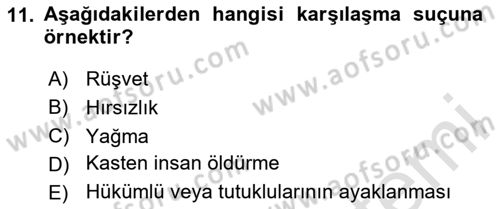 Ceza Hukuku Bilgisi Dersi 2025 - 2026 Yılı (Final) Dönem Sonu Sınav Soruları 11. Soru