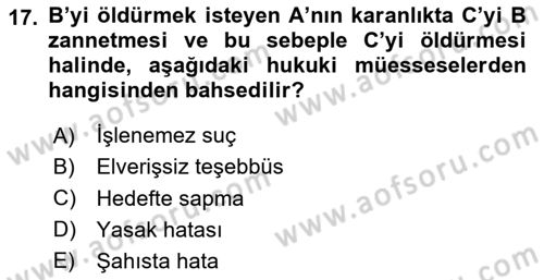 Ceza Hukuku Bilgisi Dersi 2025 - 2026 Yılı (Final) Dönem Sonu Sınav Soruları 17. Soru