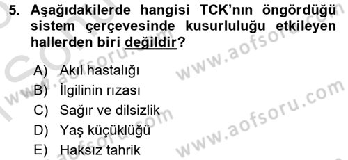 Ceza Hukuku Bilgisi Dersi 2025 - 2026 Yılı (Final) Dönem Sonu Sınav Soruları 5. Soru