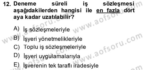 Bireysel İş Hukuku Dersi 2014 - 2015 Yılı (Vize) Ara Sınav Soruları 12. Soru