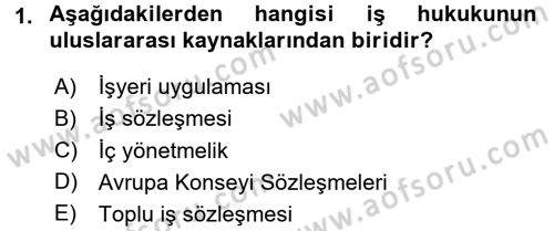 Bireysel İş Hukuku Dersi 2015 - 2016 Yılı (Final) Dönem Sonu Sınav Soruları 1. Soru