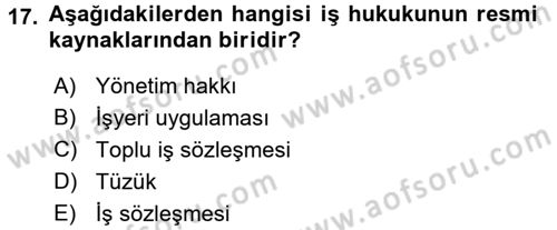 Bireysel İş Hukuku Dersi 2016 - 2017 Yılı (Vize) Ara Sınav Soruları 17. Soru