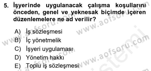 Bireysel İş Hukuku Dersi 2018 - 2019 Yılı (Vize) Ara Sınav Soruları 5. Soru