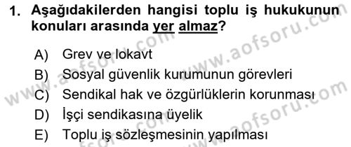 Bireysel İş Hukuku Dersi 2018 - 2019 Yılı (Final) Dönem Sonu Sınav Soruları 1. Soru