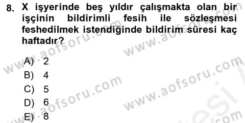 Bireysel İş Hukuku Dersi 2018 - 2019 Yılı (Final) Dönem Sonu Sınav Soruları 8. Soru