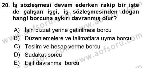 Bireysel İş Hukuku Dersi 2019 - 2020 Yılı (Vize) Ara Sınav Soruları 20. Soru