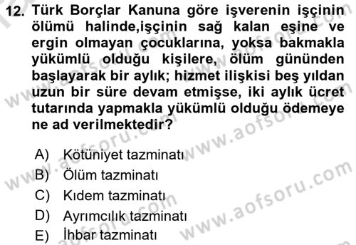 Bireysel İş Hukuku Dersi 2021 - 2022 Yılı Yaz Okulu Sınav Soruları 12. Soru