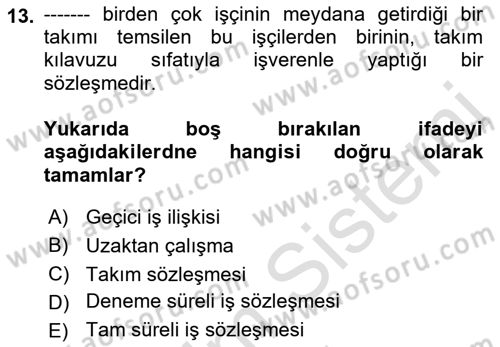 Bireysel İş Hukuku Dersi 2022 - 2023 Yılı (Vize) Ara Sınav Soruları 13. Soru