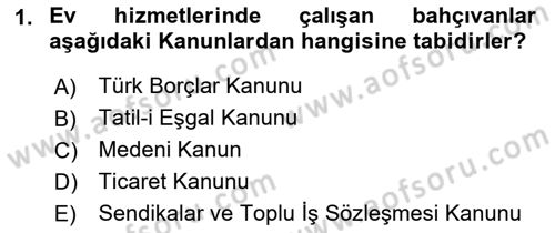 Bireysel İş Hukuku Dersi 2022 - 2023 Yılı (Final) Dönem Sonu Sınav Soruları 1. Soru
