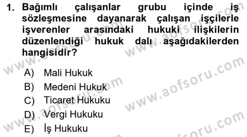 Bireysel İş Hukuku Dersi 2023 - 2024 Yılı (Vize) Ara Sınav Soruları 1. Soru