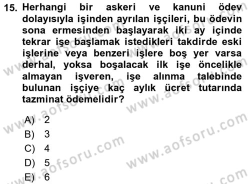 Bireysel İş Hukuku Dersi 2023 - 2024 Yılı (Vize) Ara Sınav Soruları 15. Soru