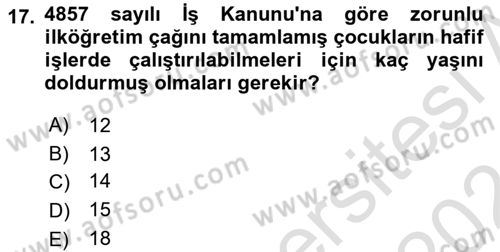 Bireysel İş Hukuku Dersi 2023 - 2024 Yılı (Final) Dönem Sonu Sınav Soruları 17. Soru
