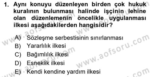 Bireysel İş Hukuku Dersi 2023 - 2024 Yılı Yaz Okulu Sınav Soruları 1. Soru