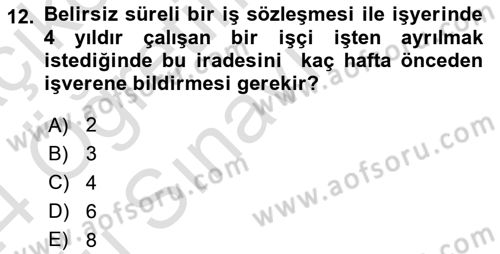 Bireysel İş Hukuku Dersi 2023 - 2024 Yılı Yaz Okulu Sınav Soruları 12. Soru