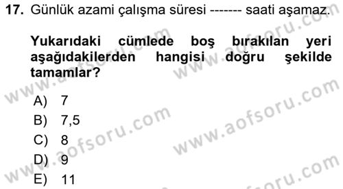 Bireysel İş Hukuku Dersi 2023 - 2024 Yılı Yaz Okulu Sınav Soruları 17. Soru