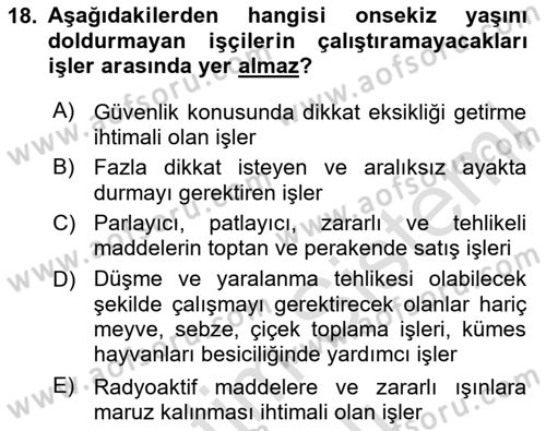 Bireysel İş Hukuku Dersi 2023 - 2024 Yılı Yaz Okulu Sınav Soruları 18. Soru