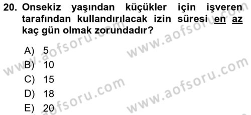 Bireysel İş Hukuku Dersi 2023 - 2024 Yılı Yaz Okulu Sınav Soruları 20. Soru