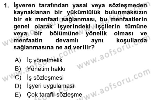 Bireysel İş Hukuku Dersi 2024 - 2025 Yılı (Vize) Ara Sınav Soruları 1. Soru