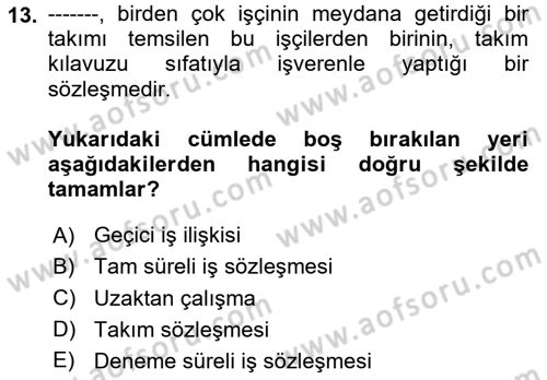 Bireysel İş Hukuku Dersi 2024 - 2025 Yılı (Vize) Ara Sınav Soruları 13. Soru