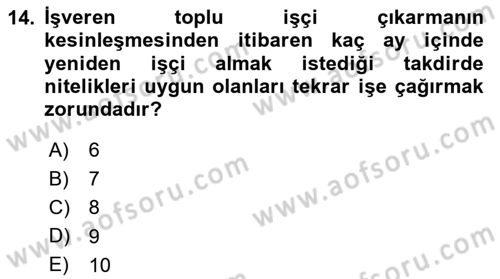 Bireysel İş Hukuku Dersi 2024 - 2025 Yılı (Vize) Ara Sınav Soruları 14. Soru