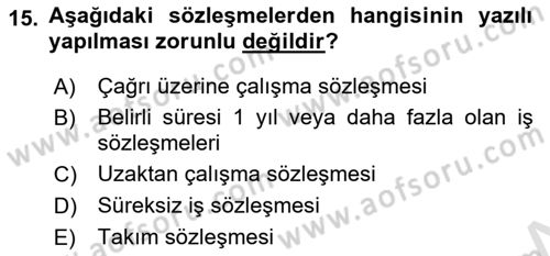 Bireysel İş Hukuku Dersi 2024 - 2025 Yılı (Vize) Ara Sınav Soruları 15. Soru