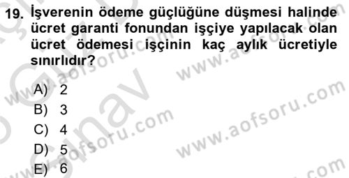 Bireysel İş Hukuku Dersi 2024 - 2025 Yılı (Vize) Ara Sınav Soruları 19. Soru
