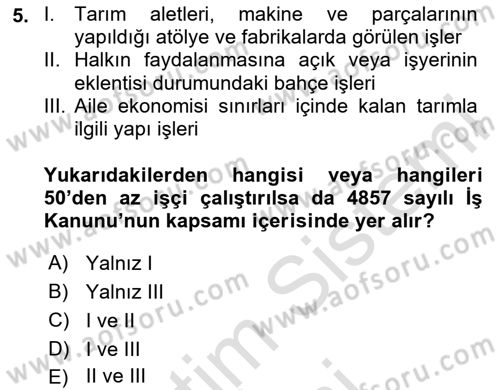 Bireysel İş Hukuku Dersi 2024 - 2025 Yılı (Vize) Ara Sınav Soruları 5. Soru