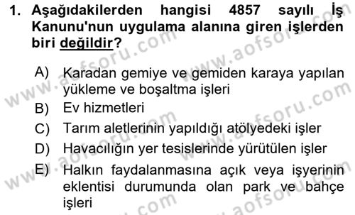 Bireysel İş Hukuku Dersi 2024 - 2025 Yılı (Final) Dönem Sonu Sınav Soruları 1. Soru