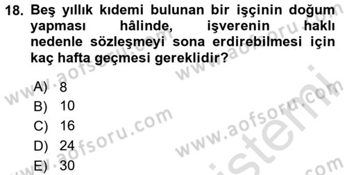 Bireysel İş Hukuku Dersi 2024 - 2025 Yılı (Final) Dönem Sonu Sınav Soruları 18. Soru