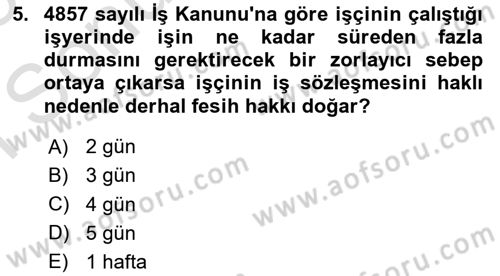 Bireysel İş Hukuku Dersi 2024 - 2025 Yılı (Final) Dönem Sonu Sınav Soruları 5. Soru