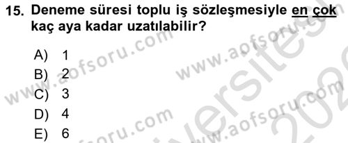 Bireysel İş Hukuku Dersi 2025 - 2026 Yılı (Vize) Ara Sınav Soruları 15. Soru