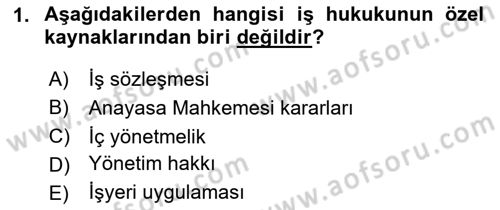 Bireysel İş Hukuku Dersi 2025 - 2026 Yılı (Final) Dönem Sonu Sınav Soruları 1. Soru