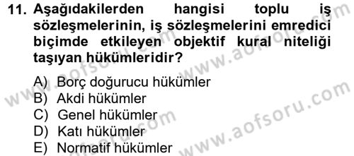 Toplu İş Hukuku Dersi 2012 - 2013 Yılı (Final) Dönem Sonu Sınav Soruları 11. Soru