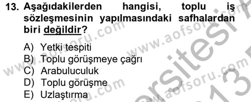 Toplu İş Hukuku Dersi 2012 - 2013 Yılı (Final) Dönem Sonu Sınav Soruları 13. Soru