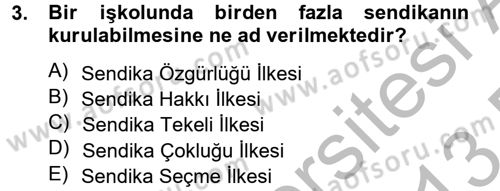 Toplu İş Hukuku Dersi 2012 - 2013 Yılı (Final) Dönem Sonu Sınav Soruları 3. Soru