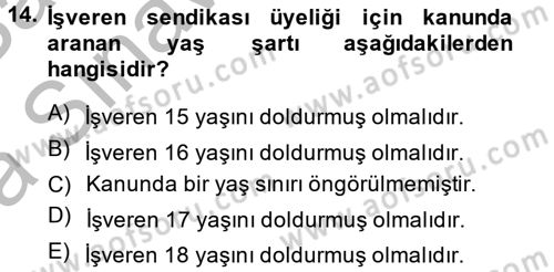 Toplu İş Hukuku Dersi 2013 - 2014 Yılı (Vize) Ara Sınav Soruları 14. Soru
