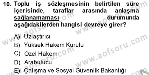 Toplu İş Hukuku Dersi 2013 - 2014 Yılı (Final) Dönem Sonu Sınav Soruları 10. Soru