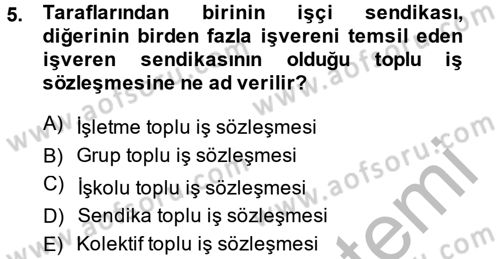 Toplu İş Hukuku Dersi 2013 - 2014 Yılı (Final) Dönem Sonu Sınav Soruları 5. Soru