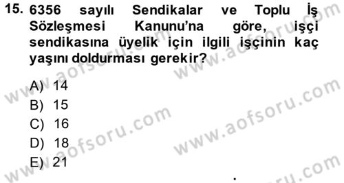 Toplu İş Hukuku Dersi 2014 - 2015 Yılı (Vize) Ara Sınav Soruları 15. Soru