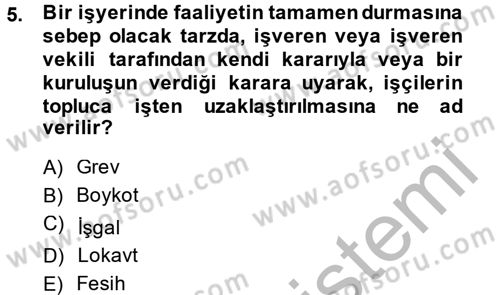 Toplu İş Hukuku Dersi 2014 - 2015 Yılı (Vize) Ara Sınav Soruları 5. Soru