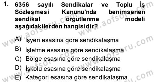 Toplu İş Hukuku Dersi 2014 - 2015 Yılı (Final) Dönem Sonu Sınav Soruları 1. Soru