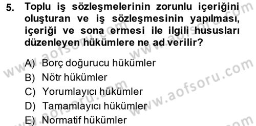 Toplu İş Hukuku Dersi 2014 - 2015 Yılı (Final) Dönem Sonu Sınav Soruları 5. Soru
