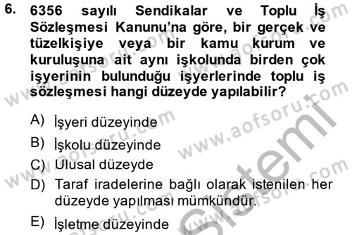 Toplu İş Hukuku Dersi 2014 - 2015 Yılı (Final) Dönem Sonu Sınav Soruları 6. Soru