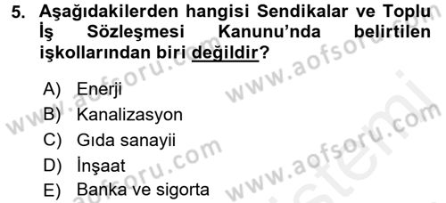 Toplu İş Hukuku Dersi 2015 - 2016 Yılı (Vize) Ara Sınav Soruları 5. Soru